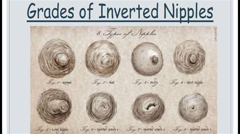 inverted nipple porn|'inverted nipples' Search .